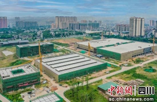 建行樂山分行助力川茶 點綠成金 茶葉