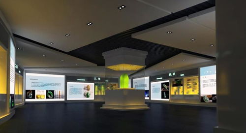 設(shè)計制作金屬結(jié)構(gòu)博物館展柜 深圳展柜制作工廠與商業(yè)策劃創(chuàng)意服務(wù)